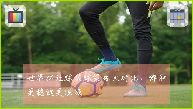 世界杯让球买球策略大对比，哪种更稳健更赚钱